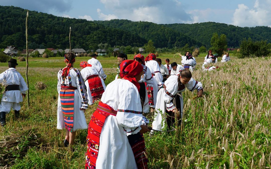 În clacă – La secerat – Țara Lăpușului