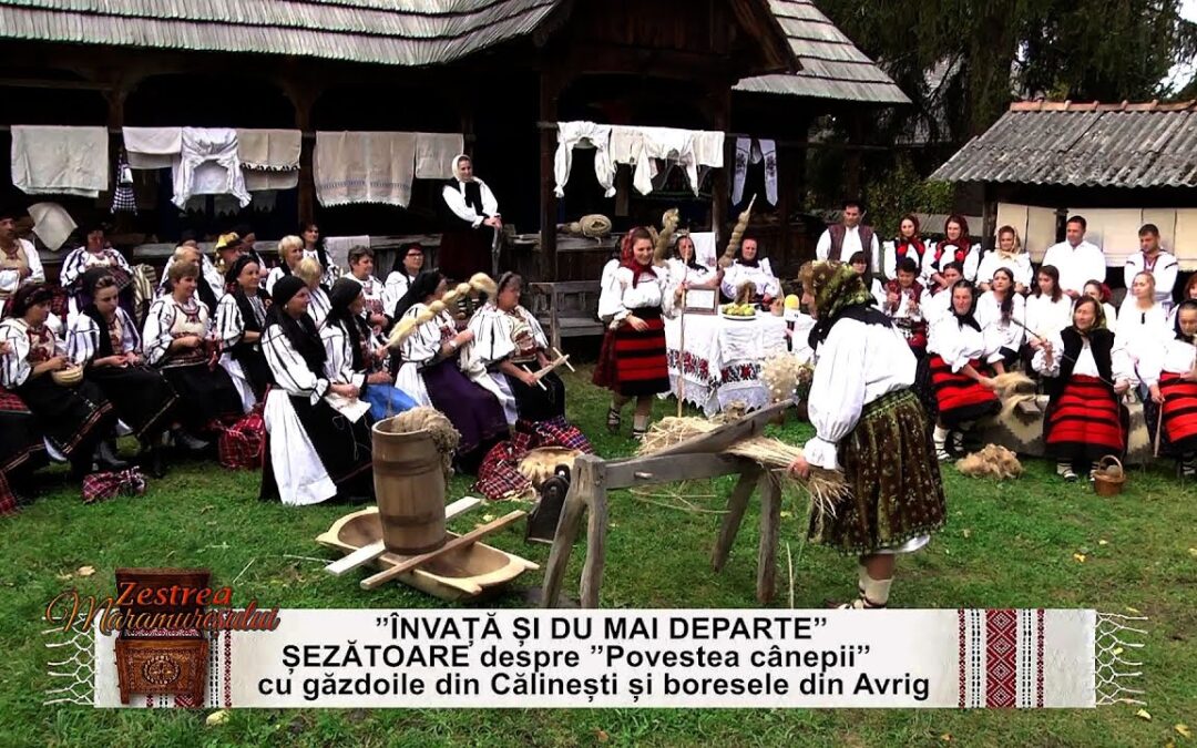 „Zestra Maramureșului” – Șezătoarea despre povestea cânepii (video)